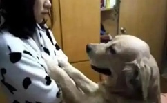 我被男同桌摸了b